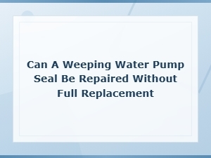 Repairing a Weeping Water Pump Seal Without Full Replacement